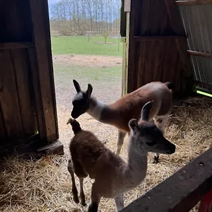 Farm Vakantieboerderij